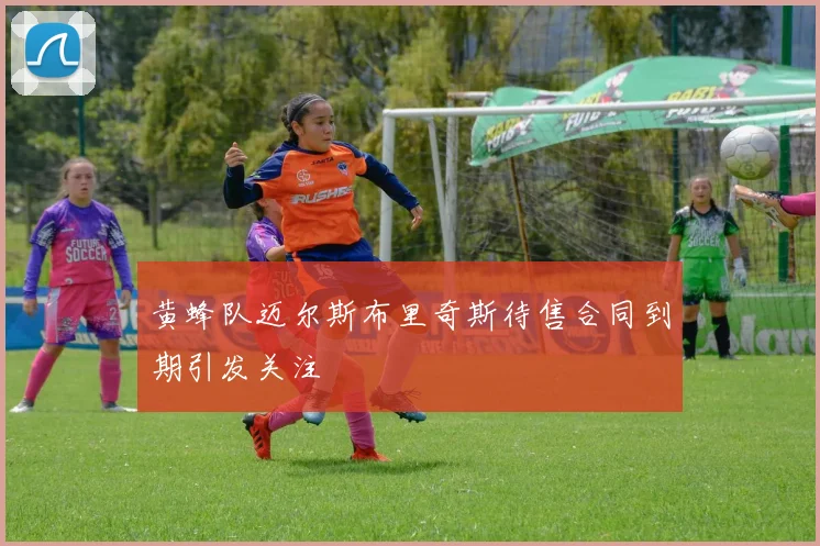 黄蜂队迈尔斯布里奇斯待售合同到期引发关注